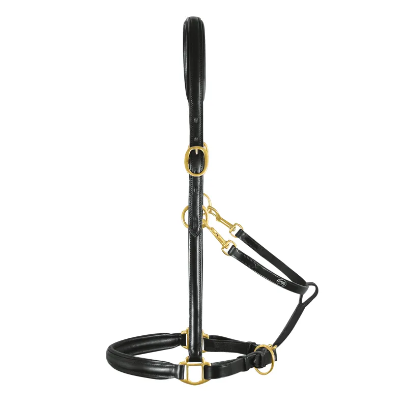 Passier Padded Headcollar Black