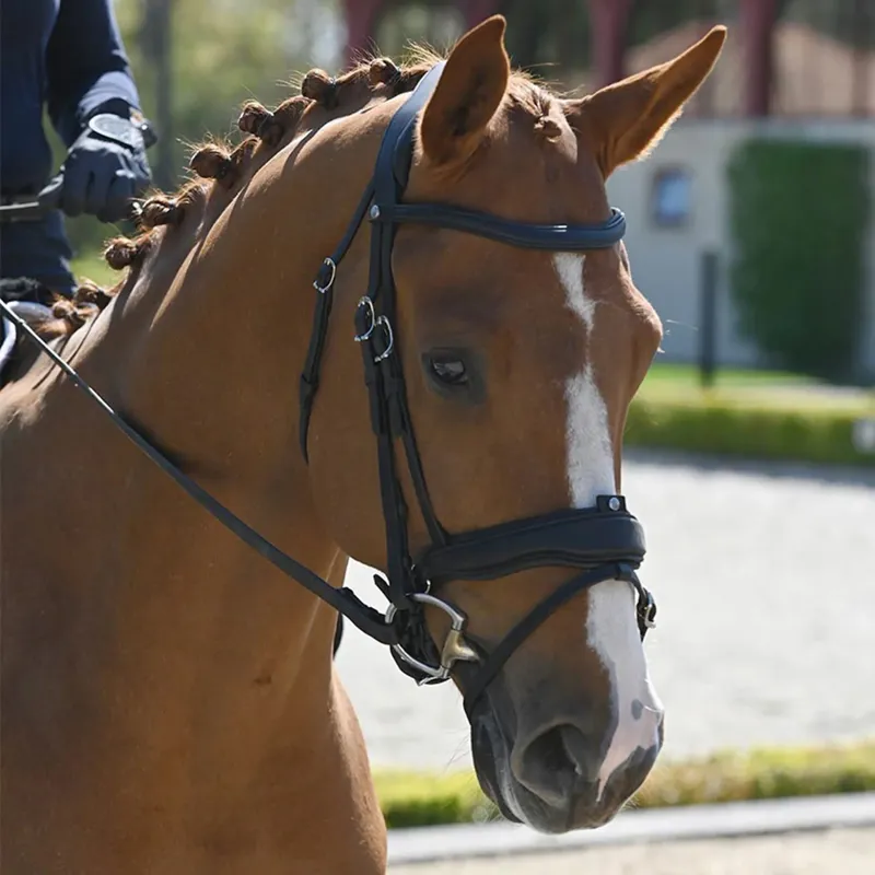 Antares Precision Large Crank Flash Noseband Snaffle Bridle Black