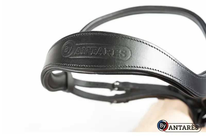 Antares Signature Dressage Bridle-2