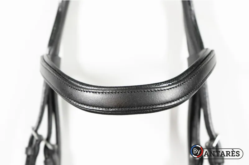 Antares Signature Dressage Bridle-1