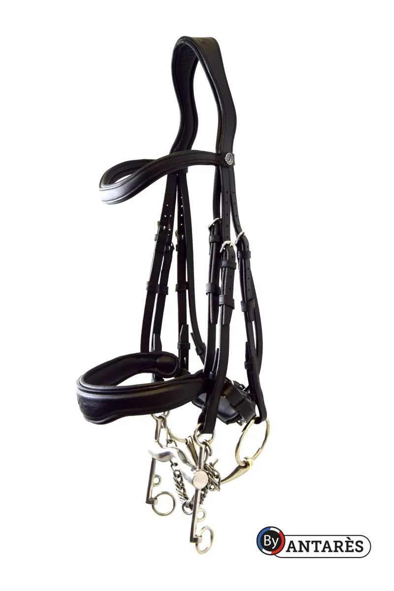 Antares Signature Dressage Double Bridle