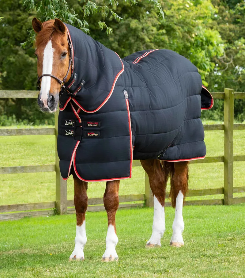 Stable Buster 450g Stable Rug with Neck Cover