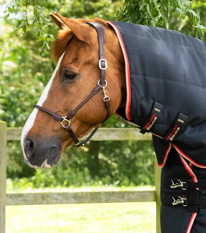 Stable Buster 450g Stable Rug with Neck Cover-1