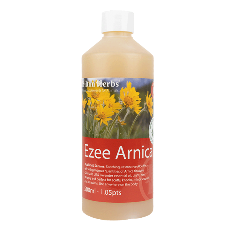 Hilton Herbs 500ml Ezee Arnica Gel