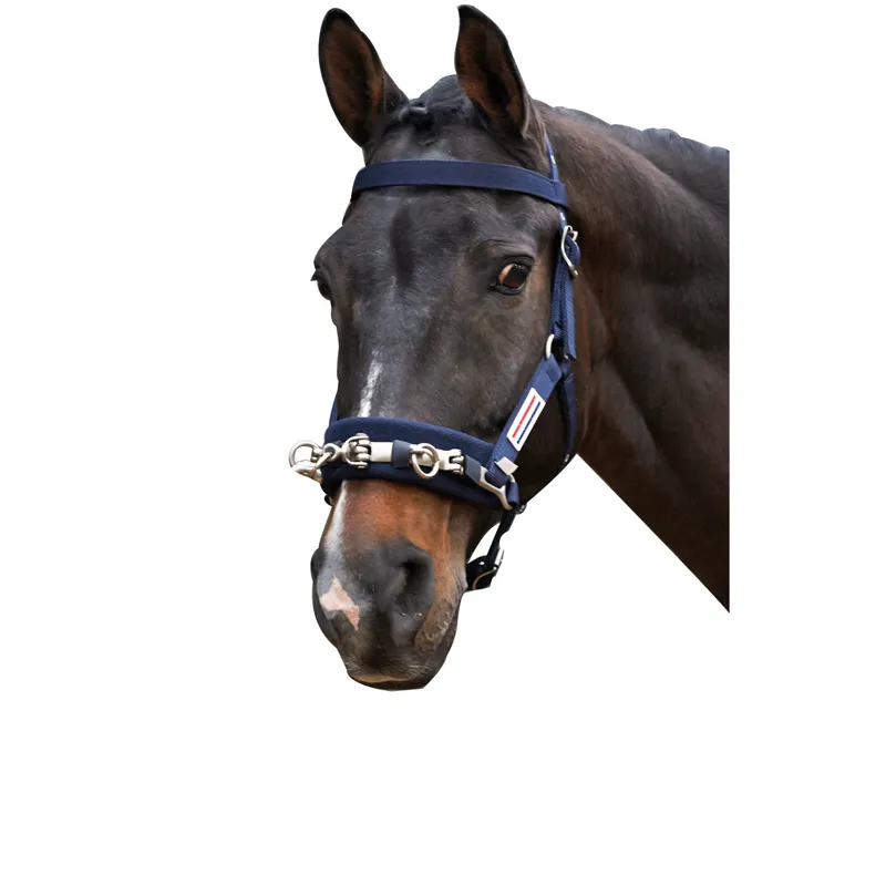 Whitaker Cob Lunge Cavesson