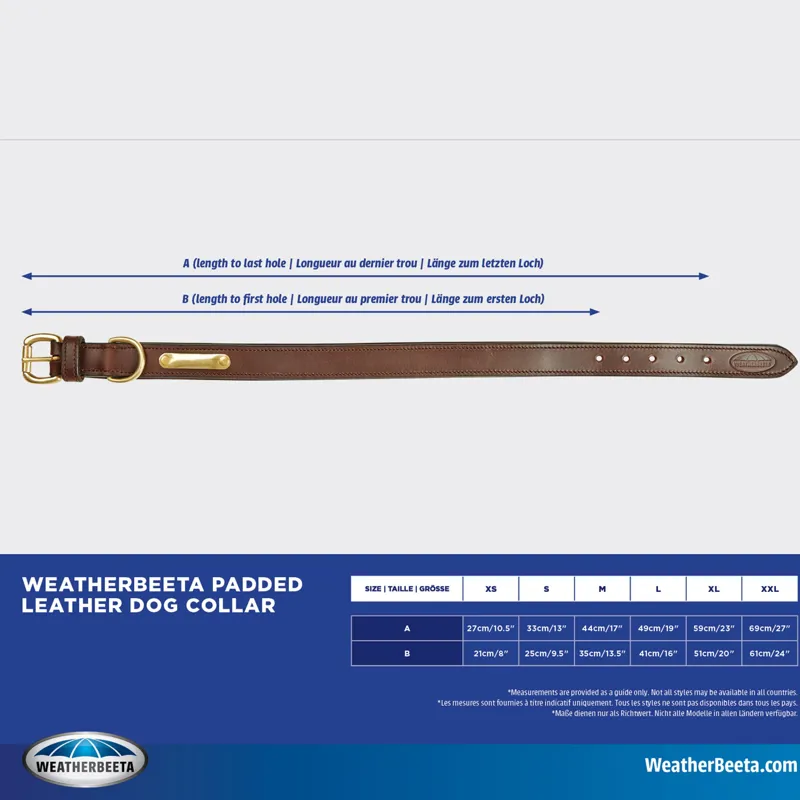 WEATHERBEETA PADDED LEATHER DOG COLLAR Tan-3