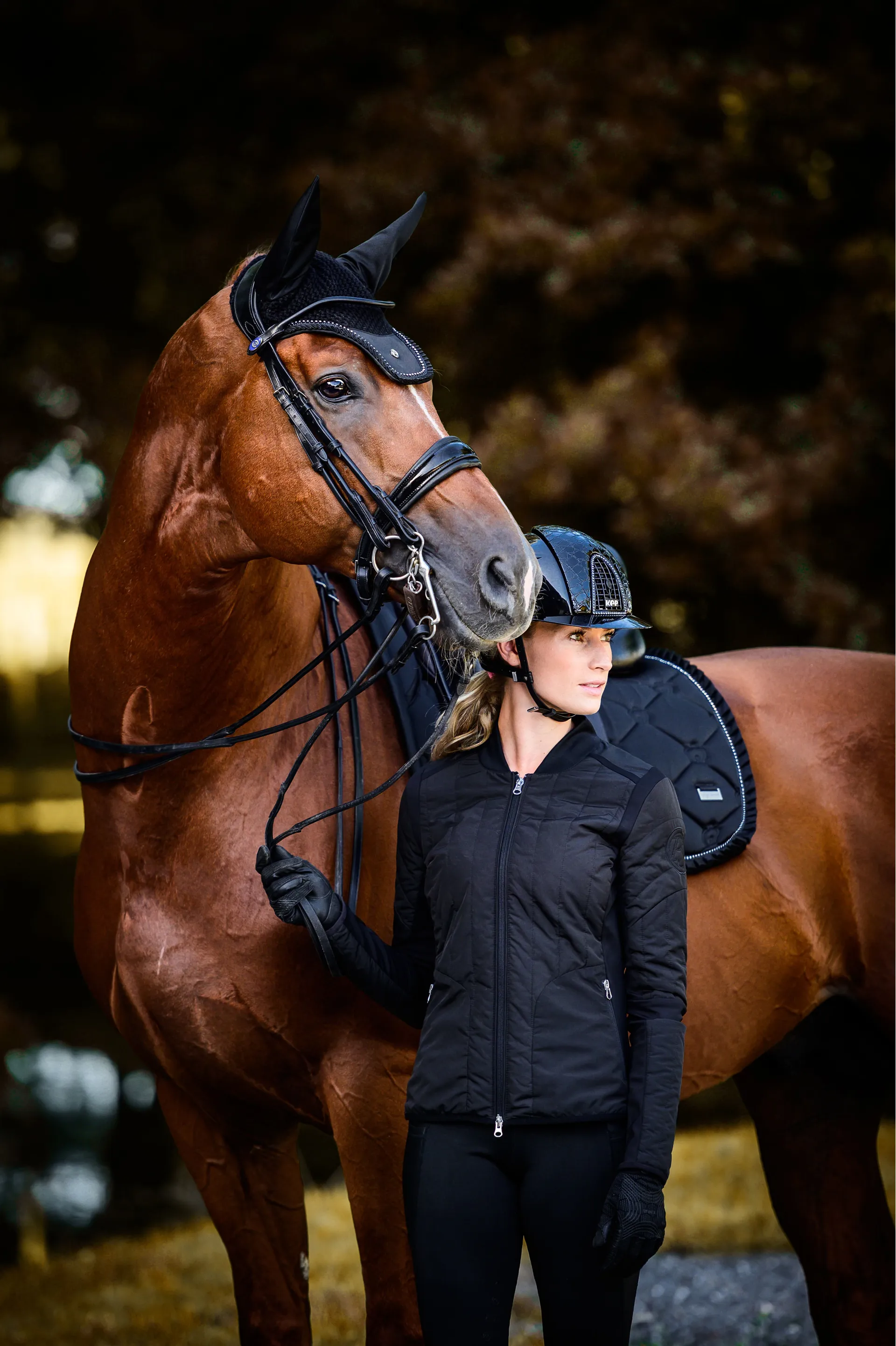 Strellson FLEX CROSS - Veste légère - black/noir