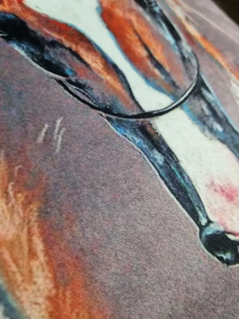 Dressage Deluxe Cushion - Horse Head-3