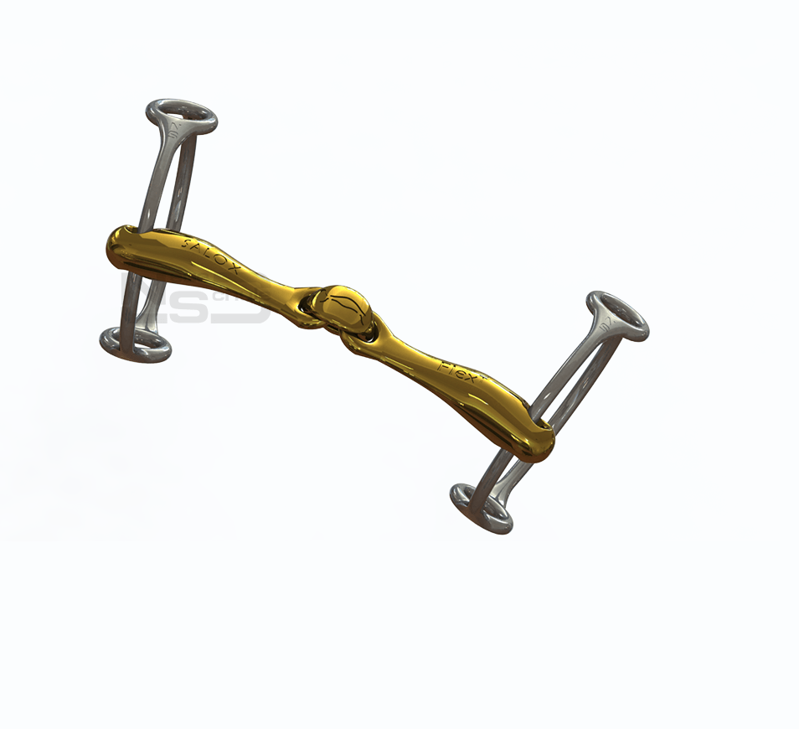 Neue Schule Turtle Tactio Balding