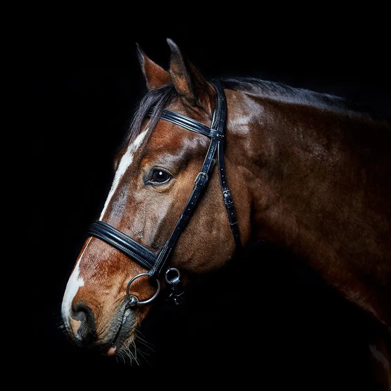 Elevator Cavesson Bridle Black