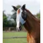 Comfort Tech Lycra Fly Mask - Grey