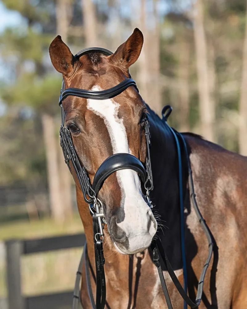 Equiline Double Weymouth Bridle Black 