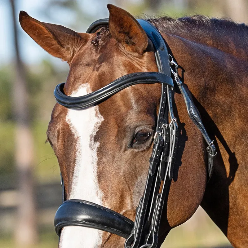 Equiline Crystal Weymouth Double Bridle -3