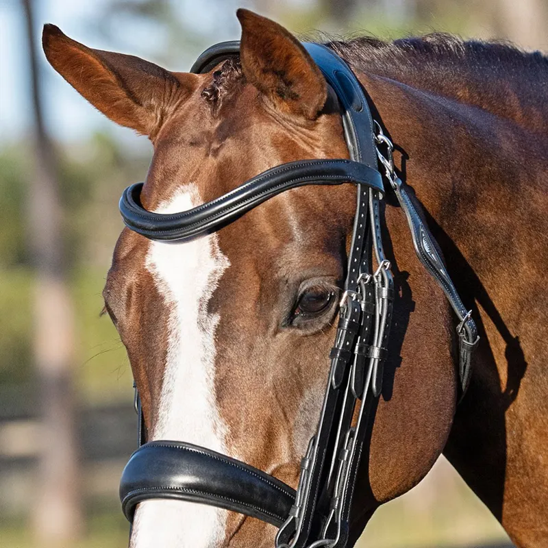 Equiline Double Weymouth Bridle Black -1