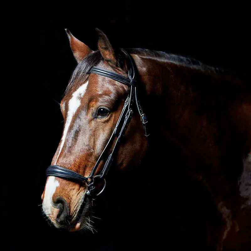 Elevator Drop Noseband Bridle Black