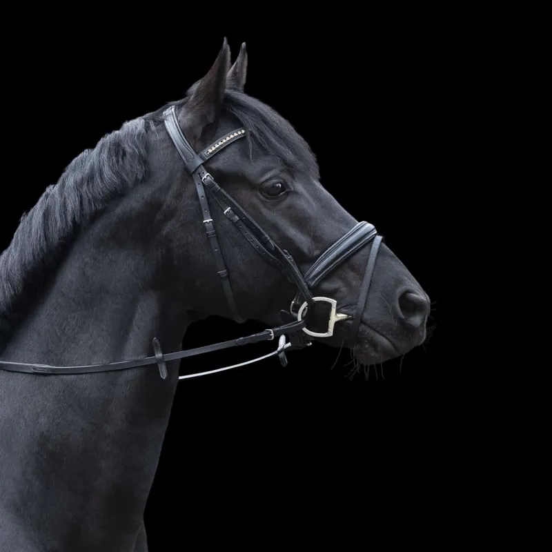 Sprenger Dynamic RS Eggbutt Snaffle 14mm 40414-3