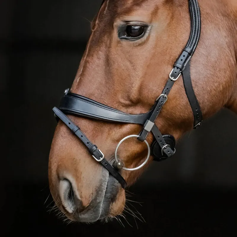 Stubben Freedom II 2505 Bridle - Black-1