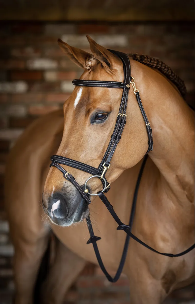 LeMieux Kudos Work Bridle - Brown-1