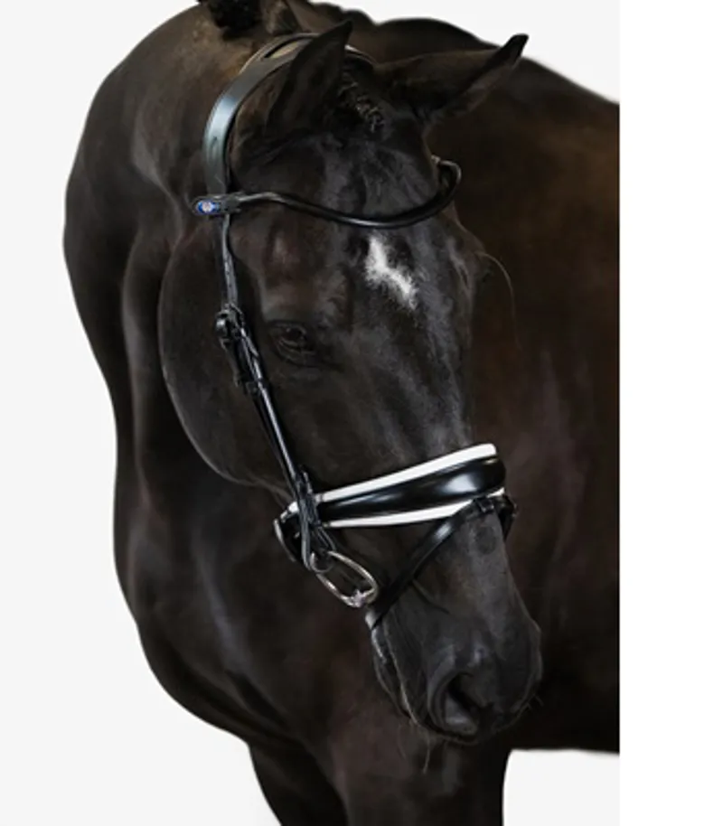 PS of Sweden GP White Lining  Bridle - Black