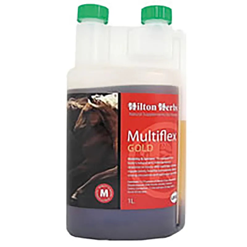 Hilton Herbs 1lt Multiflex Gold Supplement