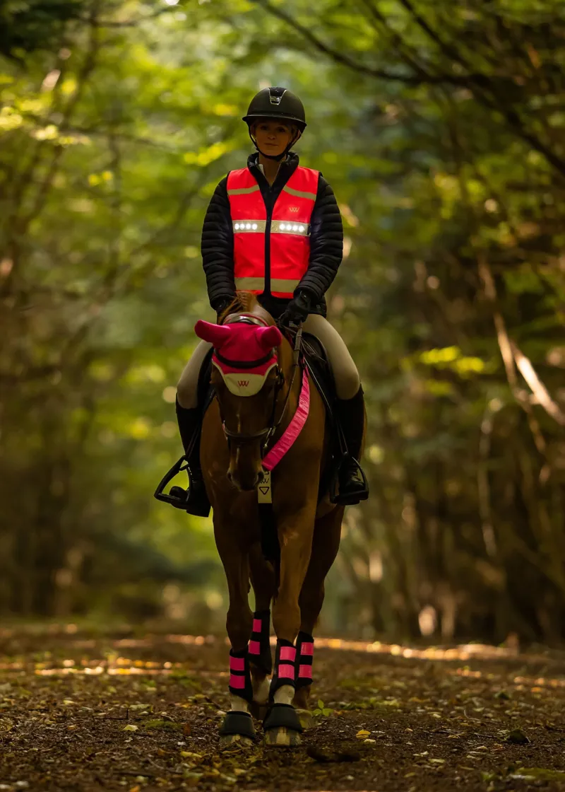 Woof Wear LED Hi Vis Riding Vest Hi Vis Pink-1
