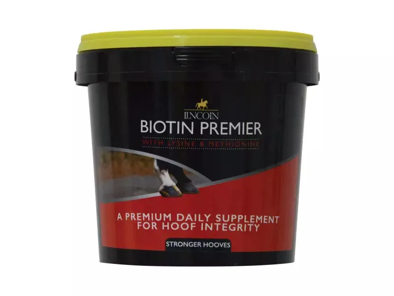 Lincoln BHB Biotin Premier 600g Supplements