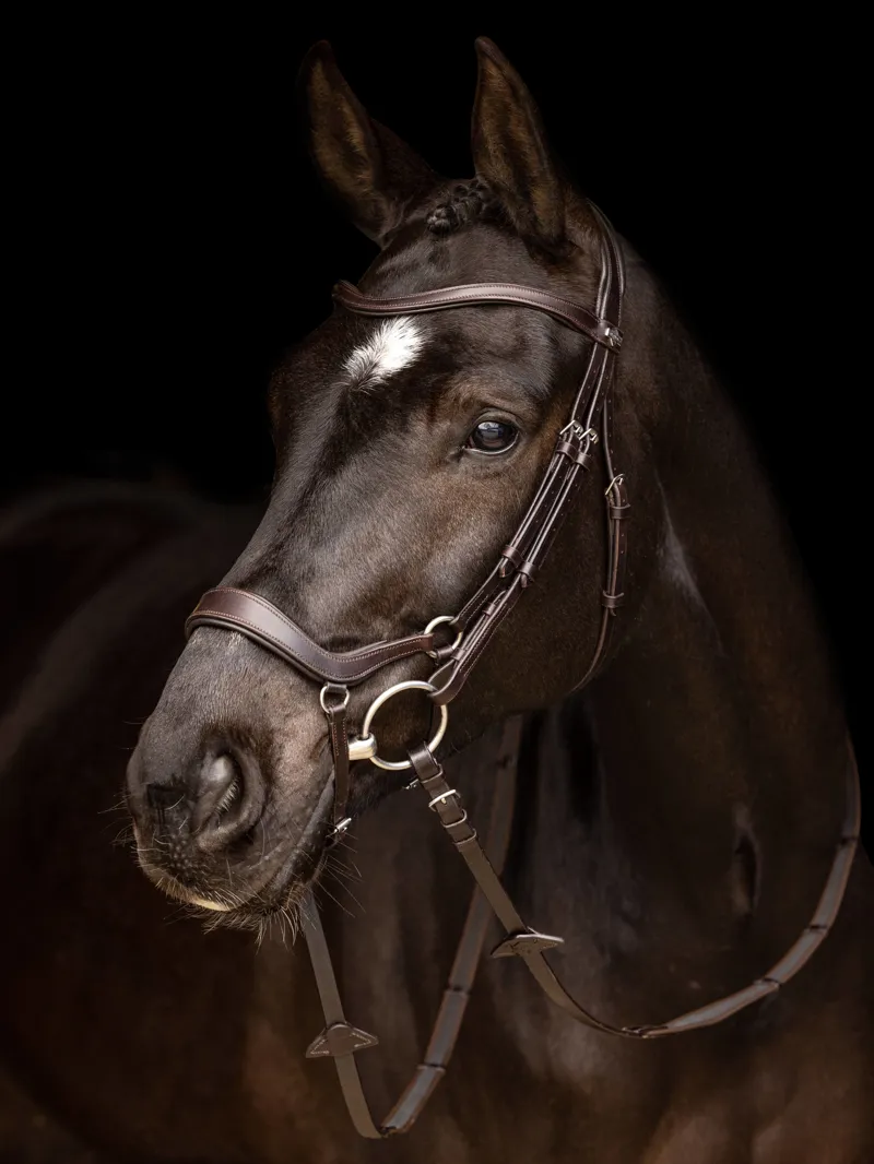LeMieux Arika Drop Bridle - Brown/Silver-2