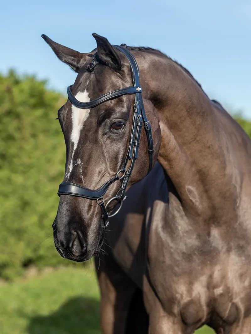 LeMieux Arika Drop Bridle - Black/Silver-1