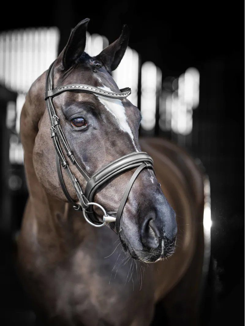 LeMieux Arika Dressage Bridle - Black/Silver-1