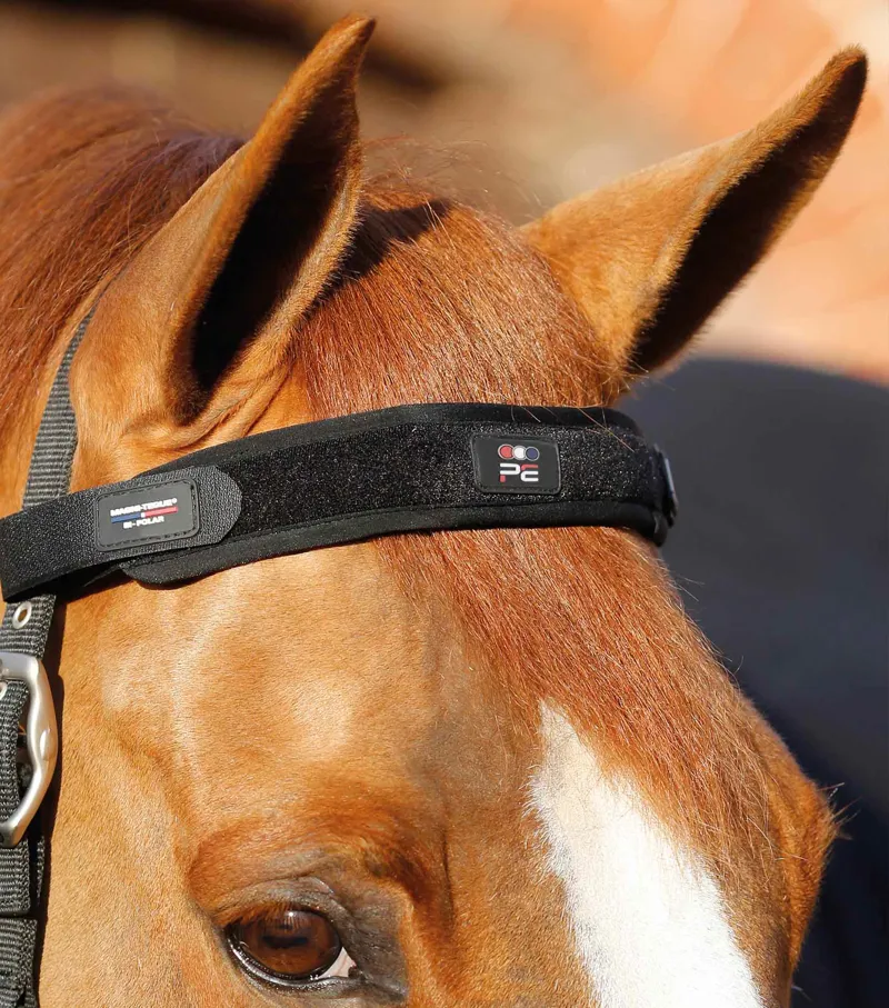 Premier Equine Magni-Teque Magnetic Browband