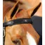Premier Equine Magni-Teque Magnetic Browband
