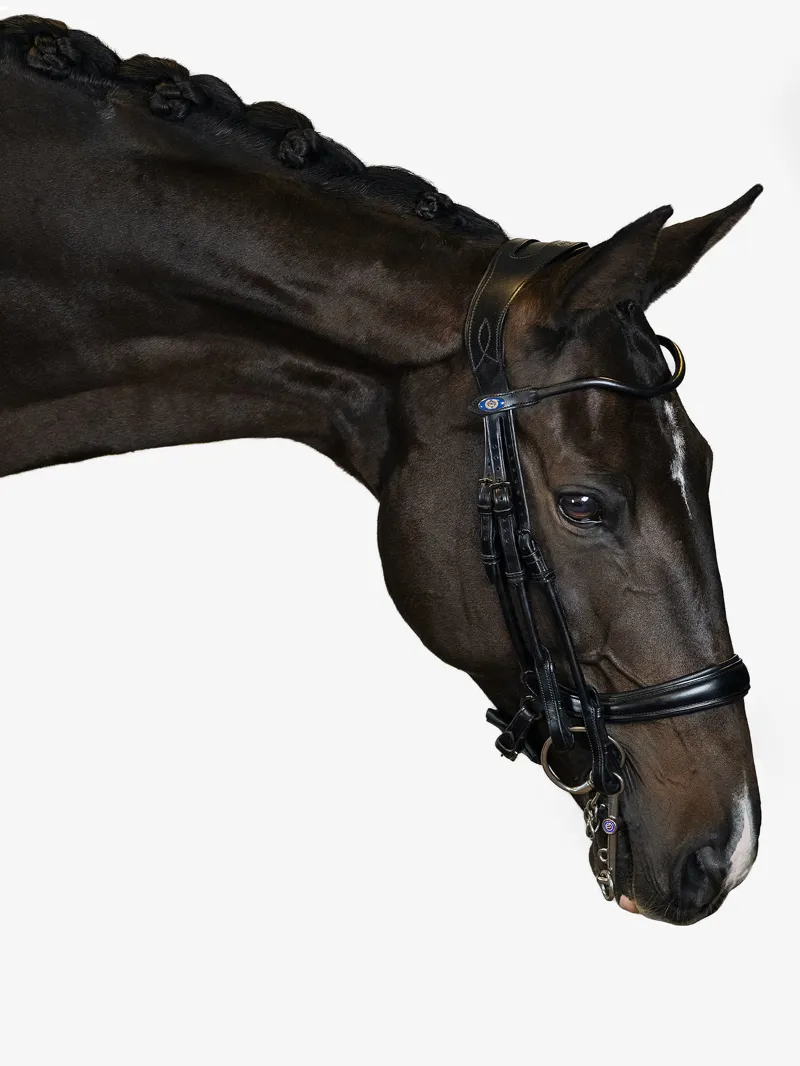 PS of Sweden Paragon Double Bridle - Black-5