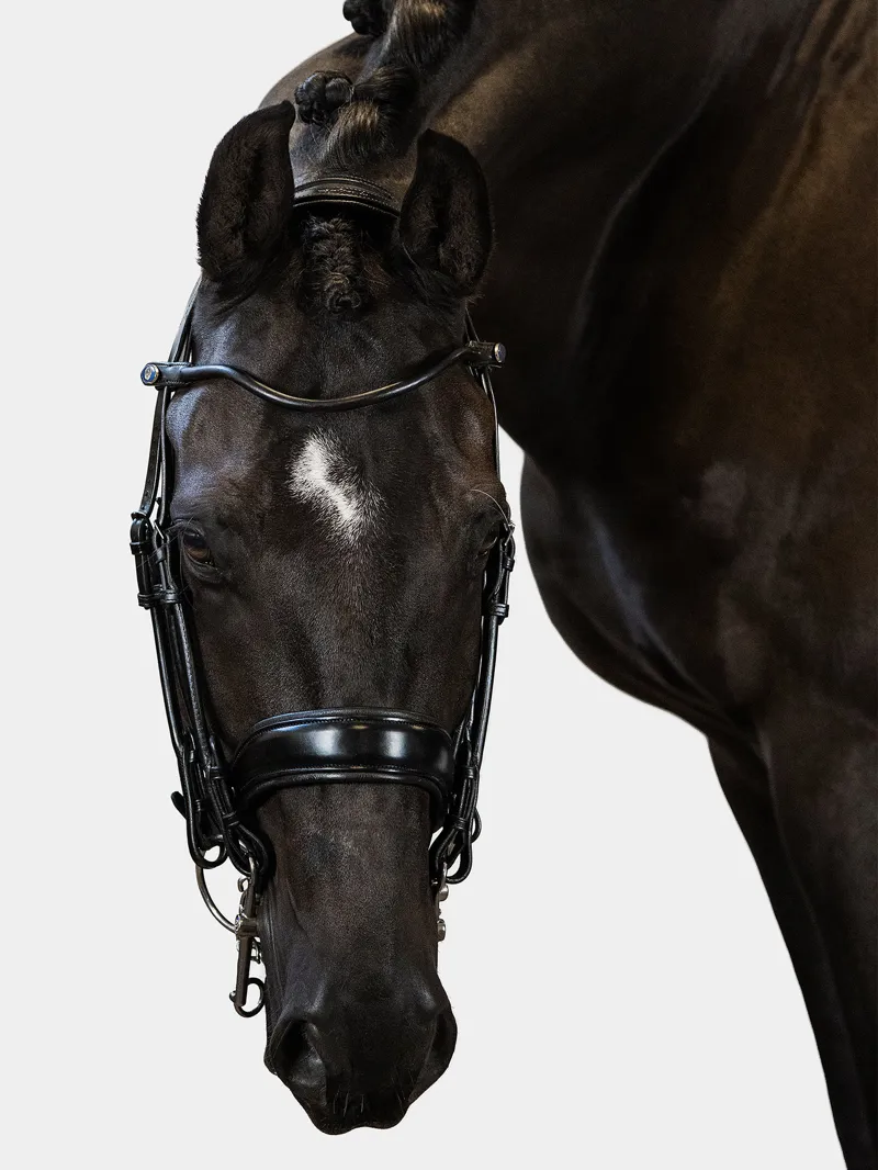 PS of Sweden Passage Double Bridle Black-2