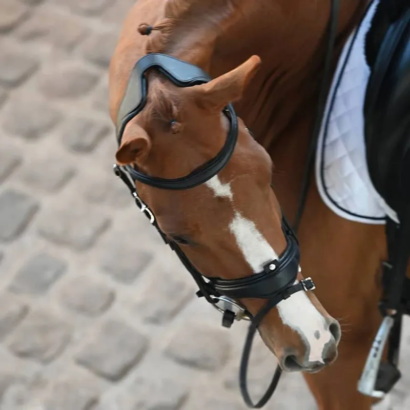 Antares Precision Large Crank Flash Noseband Snaffle Bridle Black-1