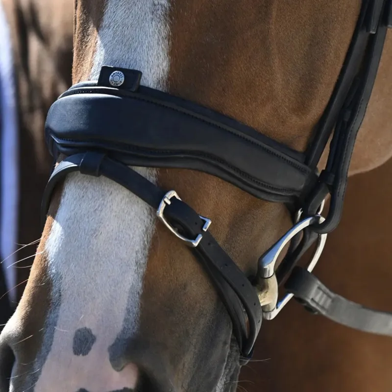 Antares Precision Large Crank Flash Noseband Snaffle Bridle Black-4
