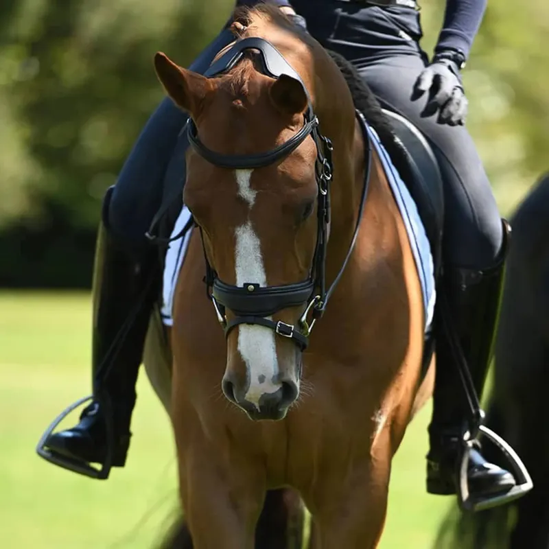 Antares Precision Large Crank Flash Noseband Snaffle Bridle Black-6