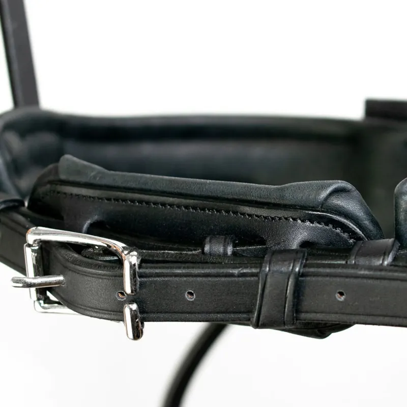 Antares Precision Large Crank Flash Noseband Snaffle Bridle Black-8