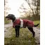 ReinCoat Dog - Burgundy