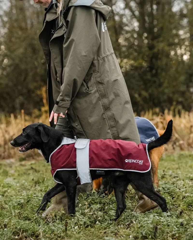 ReinCoat Dog - Burgundy-2