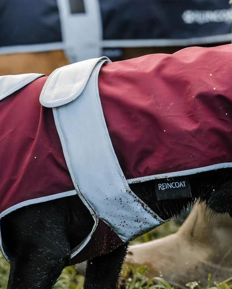 ReinCoat Dog - Burgundy-4