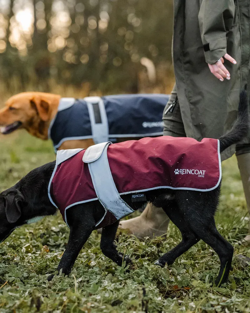 ReinCoat Dog - Burgundy-3