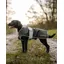 ReinCoat Dog - Olive