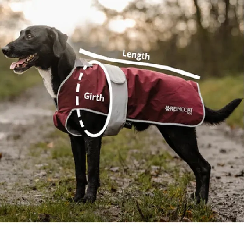 ReinCoat Dog - Burgundy-5