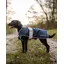 ReinCoat Dog - Navy