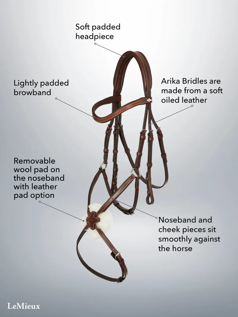 LeMieux Arika Grackle Bridle - Havana-5