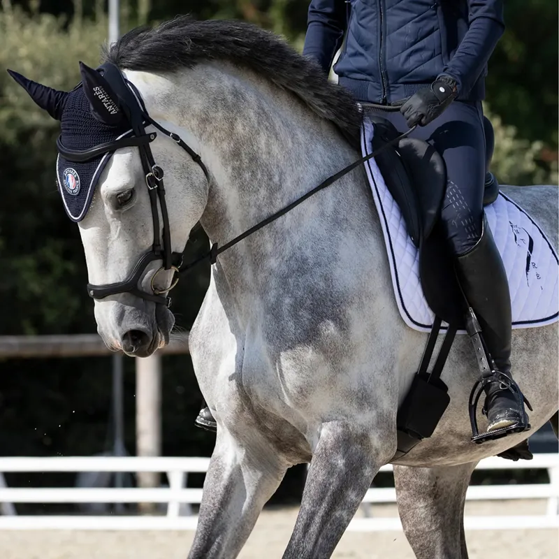 Antares Precision Y Noseband Bridle - Black