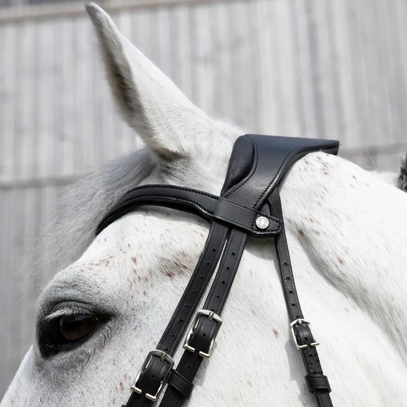 Antares Precision Y Noseband Bridle - Black-4