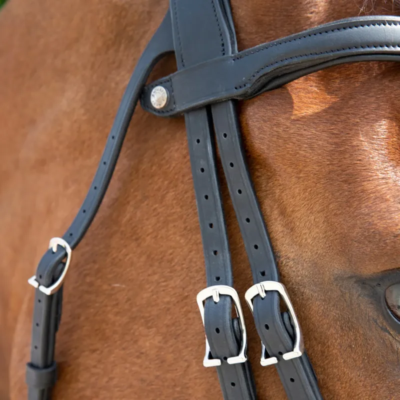 Antares Precision Y Noseband Bridle - Black-3