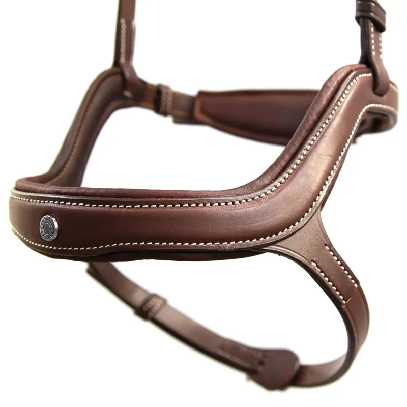 Antares Precision Y Noseband Bridle - Brown-7