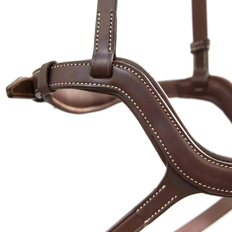 Antares Precision Y Noseband Bridle - Brown-6